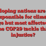 Developing nations are least responsible for climate change but most affected. Will the COP29 tackle this injustice?