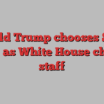 Donald Trump chooses Susie Wiles as White House chief of staff