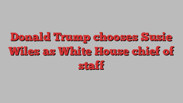 Donald Trump chooses Susie Wiles as White House chief of staff