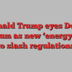 Donald Trump eyes Doug Burgum as new ‘energy tsar’ to slash regulations