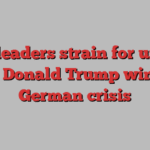 EU leaders strain for unity after Donald Trump win and German crisis