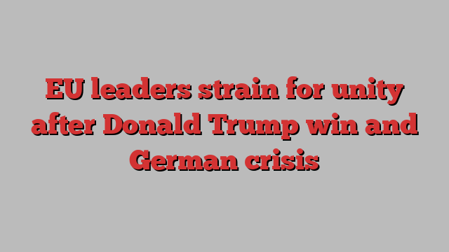 EU leaders strain for unity after Donald Trump win and German crisis