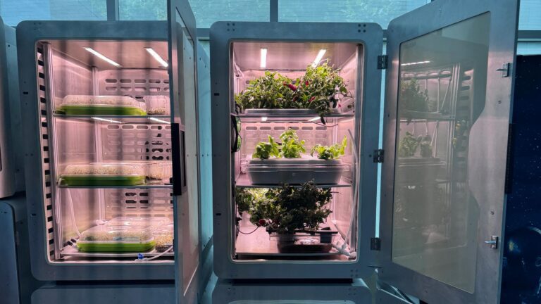 Farming in the Dark: How Electro-Agriculture Outpaces Photosynthesis