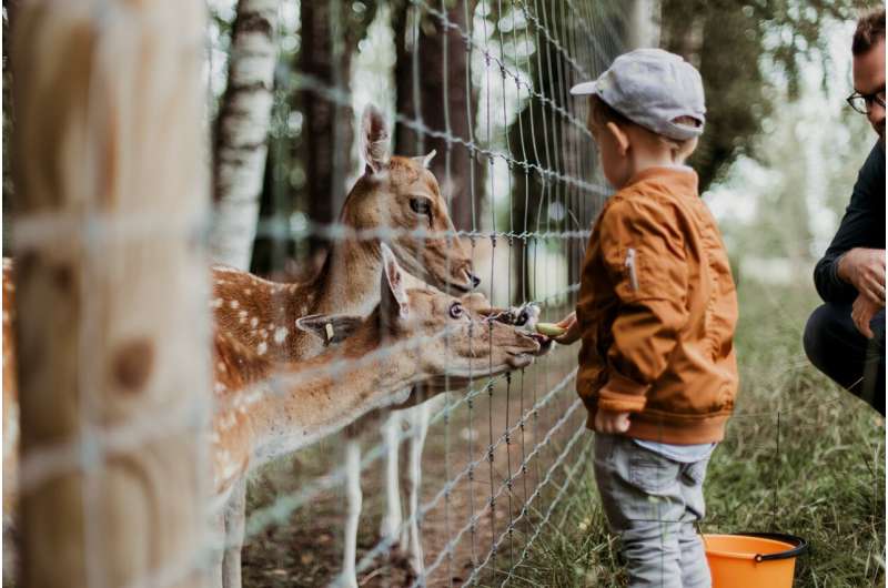 child at the zoo