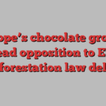 Europe’s chocolate groups lead opposition to EU deforestation law delay