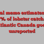 Federal memo estimates up to 30% of lobster catch in Atlantic Canada goes unreported