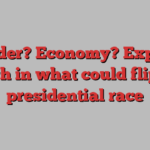 Gender? Economy? Experts weigh in what could flip the presidential race