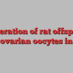 Generation of rat offspring from ovarian oocytes in mice