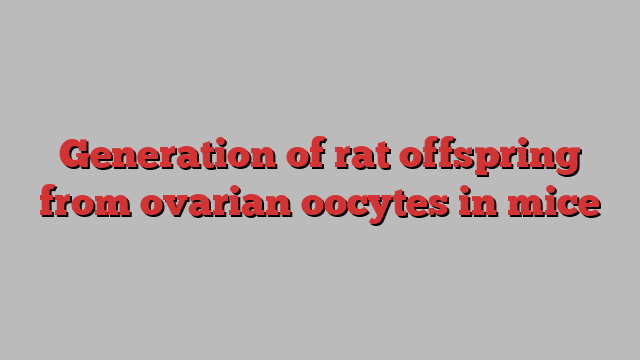 Generation of rat offspring from ovarian oocytes in mice