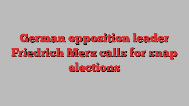 German opposition leader Friedrich Merz calls for snap elections