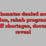 HMP inmates denied medical attention, rehab programs due to staff shortages, documents reveal