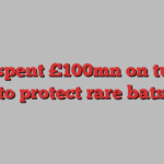 HS2 spent £100mn on tunnel to protect rare bats