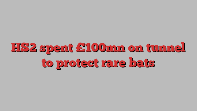 HS2 spent £100mn on tunnel to protect rare bats