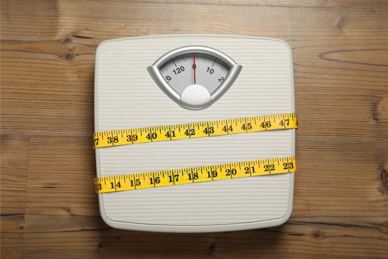 Obesity Scale Measuring Tape