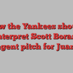 How the Yankees should interpret Scott Boras’ free-agent pitch for Juan Soto