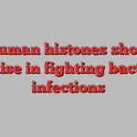 Human histones show promise in fighting bacterial infections