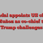 Hyundai appoints US citizen José Muñoz as co-chief to face Trump challenges