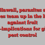 In Hawaii, parasites and viruses team up in the battle against fruit flies—implications for global pest control