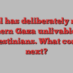 Israel has deliberately made northern Gaza unlivable, say Palestinians. What comes next?