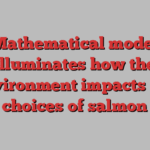 Mathematical model illuminates how the environment impacts life choices of salmon