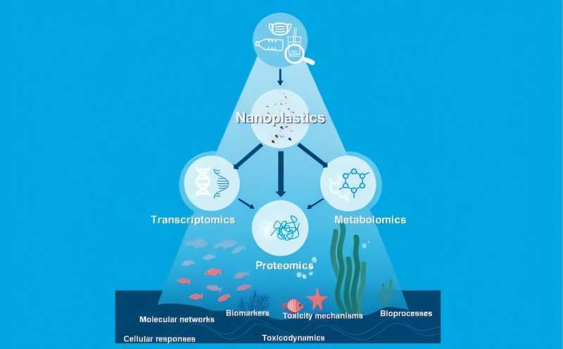 Multi-omics: effective and efficient tools in nanoplastic toxicity research