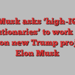 Musk asks ‘high-IQ revolutionaries’ to work for no pay on new Trump project | Elon Musk