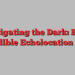 Navigating the Dark: Bats’ Incredible Echolocation Maps