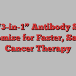 New “3-in-1” Antibody Shows Promise for Faster, Safer Cancer Therapy