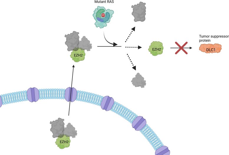 RAS Schematic