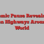 Pandemic Pause Reveals Flu’s Hidden Highways Around the World