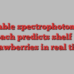 Portable spectrophotometer approach predicts shelf life of strawberries in real time