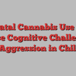 Prenatal Cannabis Use May Cause Cognitive Challenges and Aggression in Children