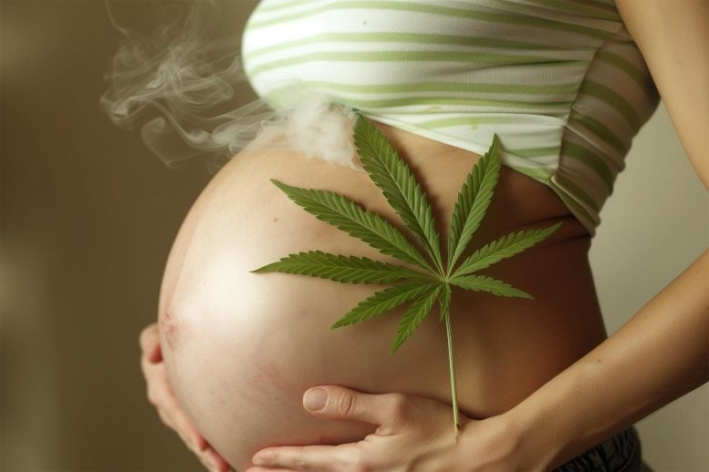 Pregnancy Cannabis Art