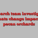 Research team investigates climate change impact on pecan orchards