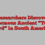 Researchers Discover Ginormous Ancient “Terror Bird” in South America