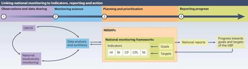 Tracking biodiversity: Researchers outline strengths and challenges in new monitoring framework