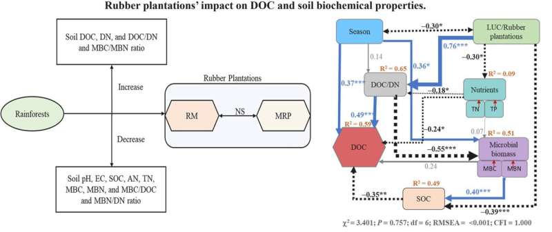 Rubber Plantations Increase Leaching of Dissolved Organic Carbon in Soil: Study