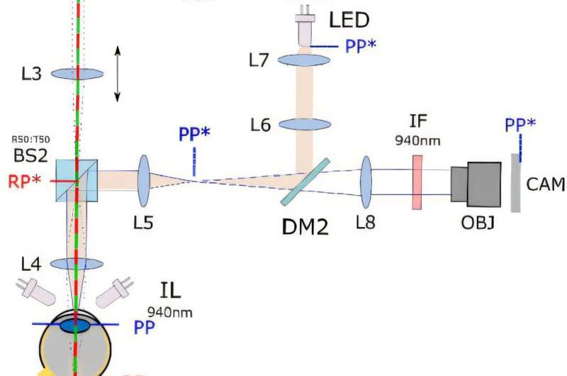 Key to the invisible world found: Scientists decipher two-photon vision