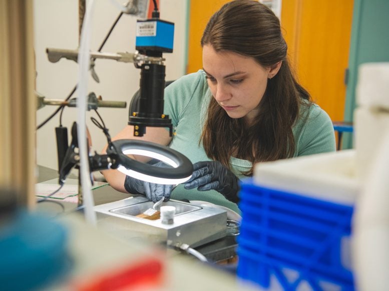 Researcher Examines a Water Droplet Under a Lamp in a Lab