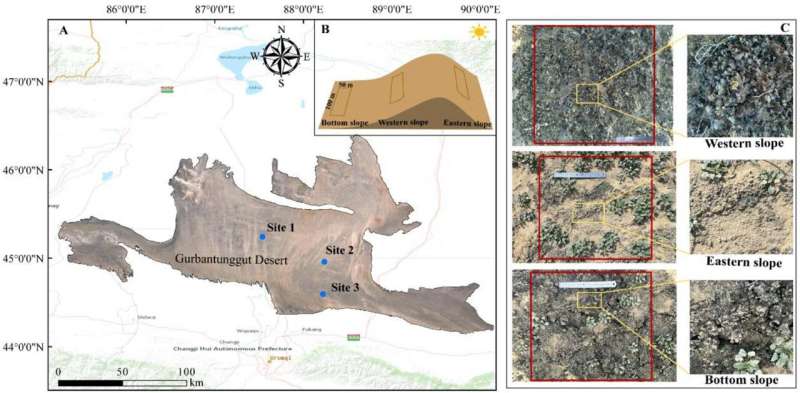 Study reveals effect of slope position on nonstructural carbohydrates in biological soil crusts