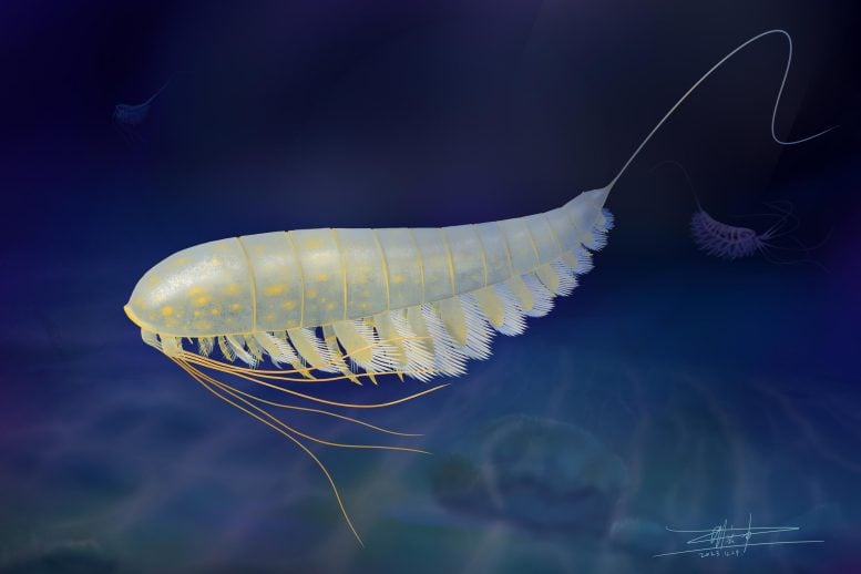 Life Reconstruction of Lomankus edgecombei