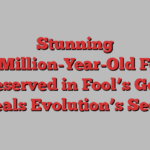 Stunning 450-Million-Year-Old Fossil Preserved in Fool’s Gold Reveals Evolution’s Secrets