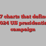 The 7 charts that define the 2024 US presidential campaign