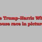 The Trump-Harris White House race in pictures