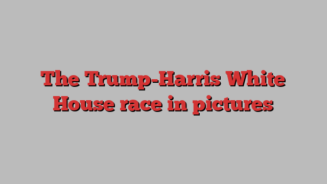 The Trump-Harris White House race in pictures