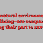 The natural environment is declining—are companies doing their part to save it?