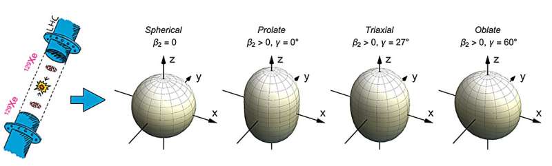 First peek at nuclear shape transitions