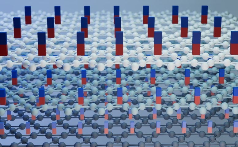 Quantum Phenomenon Kagome Superconductor RbV₃Sb₅