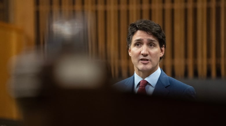 Prime Minister Justin Trudeau rises during question period in Ottawa on Wednesday, Oct. 23, 2024.