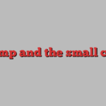 Trump and the small caps